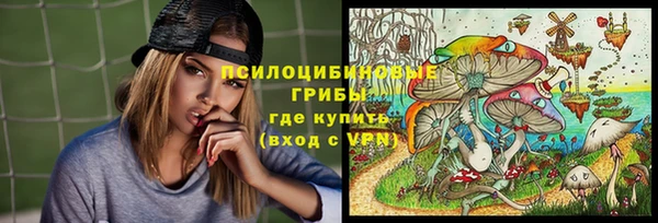гашик Переславль-Залесский