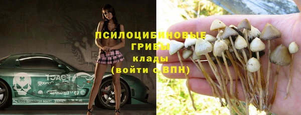 мяу мяу мука Алексин