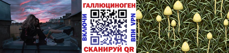 наркошоп  маркетплейс клад  Галлюциногенные грибы Psilocybine cubensis  Топки 