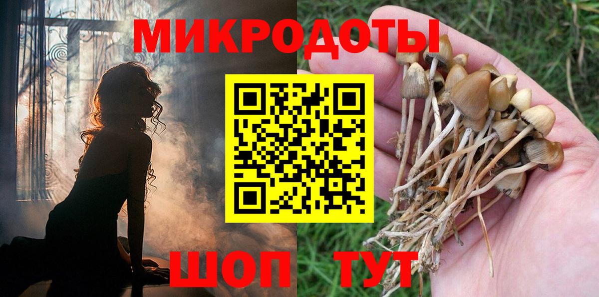 Псилоцибиновые грибы Psilocybine cubensis  Вход с VPN  Топки 